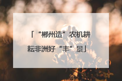 “郴州造”农机耕耘非洲好“丰”景