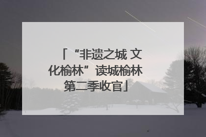 “非遗之城 文化榆林”读城榆林第二季收官