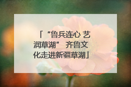 “鲁兵连心 艺润草湖” 齐鲁文化走进新疆草湖