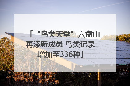“鸟类天堂”六盘山再添新成员 鸟类记录增加至336种