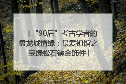 “90后”考古学者的盘龙城情缘：最爱镇馆之宝绿松石镶金饰件