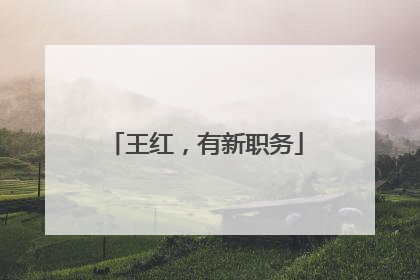 王红，有新职务