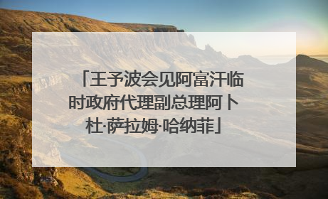 王予波会见阿富汗临时政府代理副总理阿卜杜·萨拉姆·哈纳菲