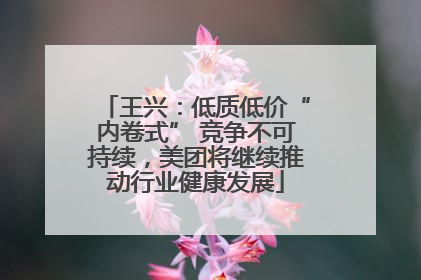王兴：低质低价“内卷式” 竞争不可持续，美团将继续推动行业健康发展