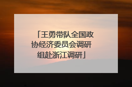 王勇带队全国政协经济委员会调研组赴浙江调研