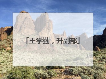王学勤，升副部
