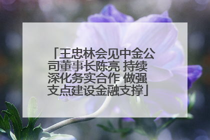 王忠林会见中金公司董事长陈亮 持续深化务实合作 做强支点建设金融支撑
