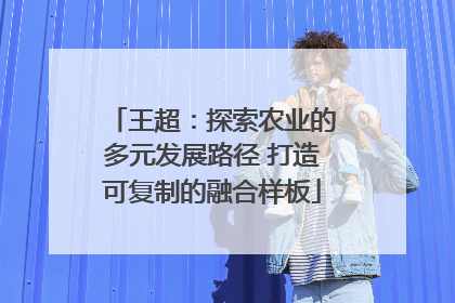 王超：探索农业的多元发展路径 打造可复制的融合样板
