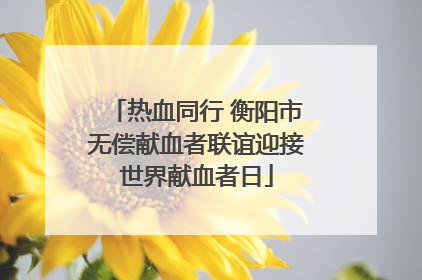 热血同行 衡阳市无偿献血者联谊迎接世界献血者日
