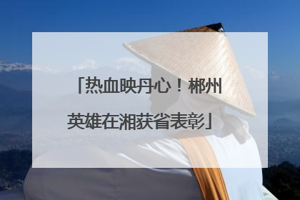 热血映丹心！郴州英雄在湘获省表彰