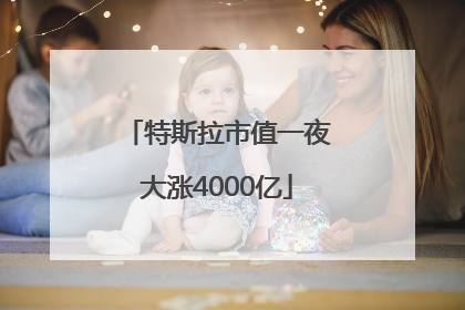 特斯拉市值一夜大涨4000亿
