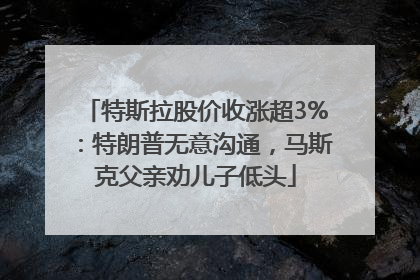 特斯拉股价收涨超3%：特朗普无意沟通，马斯克父亲劝儿子低头