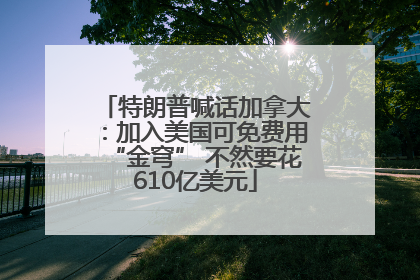 特朗普喊话加拿大：加入美国可免费用“金穹” 不然要花610亿美元