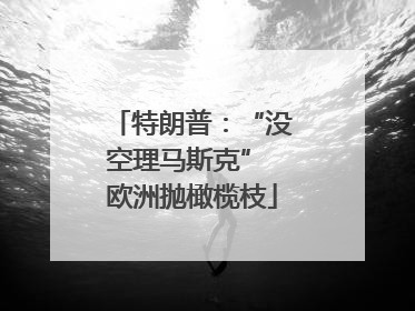 特朗普：“没空理马斯克” 欧洲抛橄榄枝