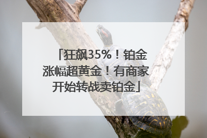 狂飙35%！铂金涨幅超黄金！有商家开始转战卖铂金