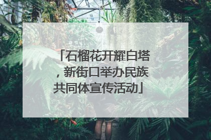 石榴花开耀白塔，新街口举办民族共同体宣传活动