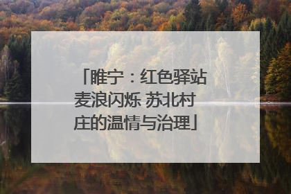 睢宁：红色驿站麦浪闪烁 苏北村庄的温情与治理