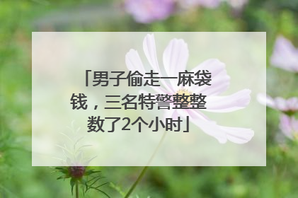 男子偷走一麻袋钱，三名特警整整数了2个小时