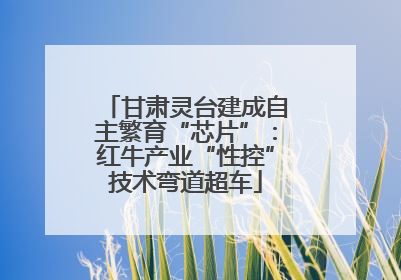 甘肃灵台建成自主繁育“芯片”：红牛产业“性控”技术弯道超车