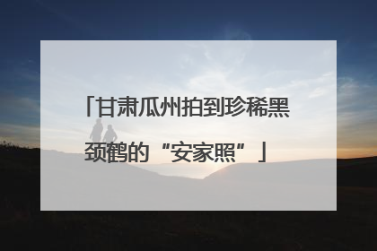 甘肃瓜州拍到珍稀黑颈鹤的“安家照”