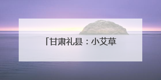 甘肃礼县：小艾草“链”上大产业
