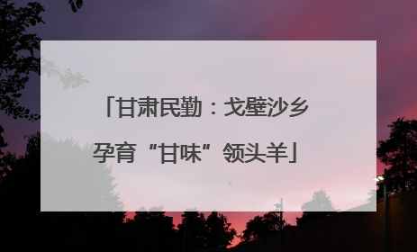 甘肃民勤：戈壁沙乡孕育“甘味”领头羊