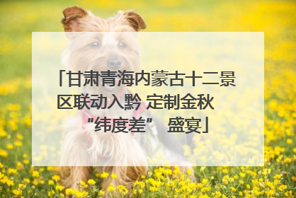 甘肃青海内蒙古十二景区联动入黔 定制金秋 “纬度差” 盛宴