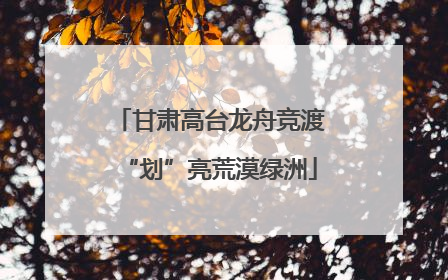 甘肃高台龙舟竞渡“划”亮荒漠绿洲