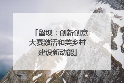 留坝：创新创意大赛激活和美乡村建设新动能
