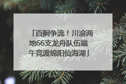 百舸争流！川渝两地66支龙舟队伍端午竞渡绵阳仙海湖