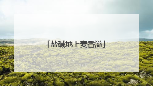 盐碱地上麦香溢