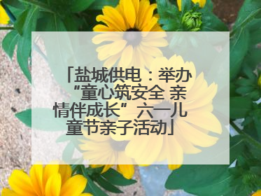 盐城供电：举办“童心筑安全 亲情伴成长”六一儿童节亲子活动