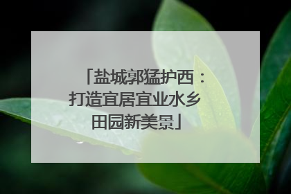 盐城郭猛护西：打造宜居宜业水乡田园新美景