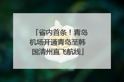 省内首条！青岛机场开通青岛至韩国清州直飞航线