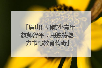 眉山仁师附小青年教师舒平：用独特魅力书写教育传奇
