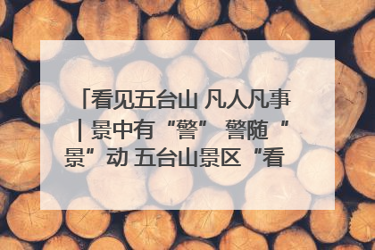 看见五台山 凡人凡事｜景中有“警” 警随“景”动 五台山景区“看得见”的平安守护