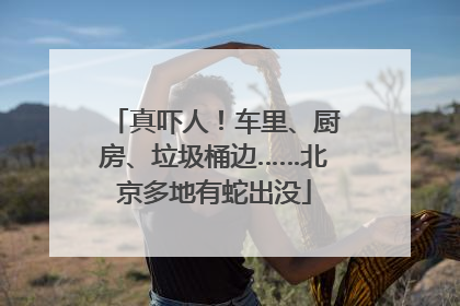 真吓人！车里、厨房、垃圾桶边……北京多地有蛇出没