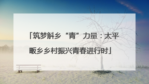 筑梦斛乡“青”力量：太平畈乡乡村振兴青春进行时