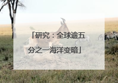 研究：全球逾五分之一海洋变暗
