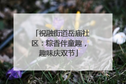 祝融街道岳庙社区：粽香伴童趣，趣味庆双节