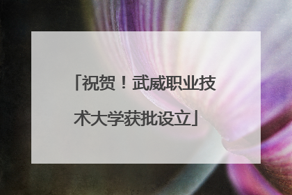 祝贺！武威职业技术大学获批设立