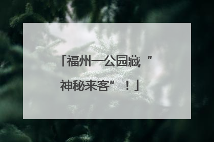 福州一公园藏“神秘来客”！