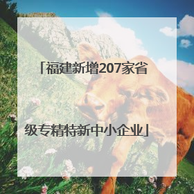 福建新增207家省级专精特新中小企业