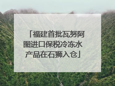 福建首批瓦努阿图进口保税冷冻水产品在石狮入仓