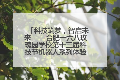 科技筑梦，智启未来——合肥一六八玫瑰园学校第十三届科技节机器人系列体验赛燃动校园
