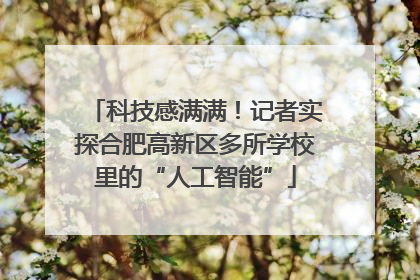 科技感满满！记者实探合肥高新区多所学校里的“人工智能”
