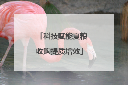 科技赋能夏粮收购提质增效