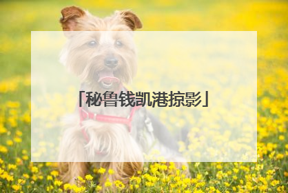 秘鲁钱凯港掠影