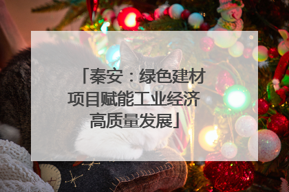 秦安：绿色建材项目赋能工业经济高质量发展