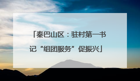 秦巴山区：驻村第一书记“组团服务”促振兴